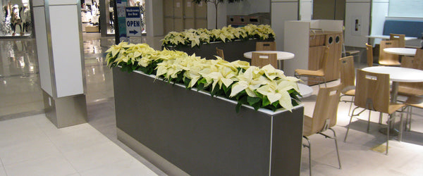 Indoor Planters